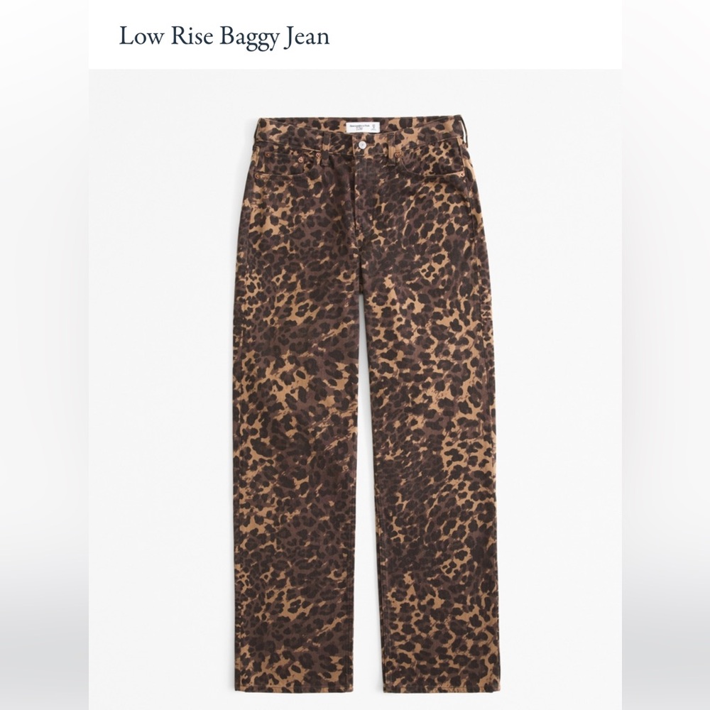 Abercrombie & Fitch Low Rise Baggy Jean